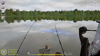 Russian Fishing 4 /Русская рыбалка 4 Трофей