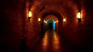 Подземный ход 155 метров от Гатчинского дворца до Серебряного озера #петербург #тайны #гатчина