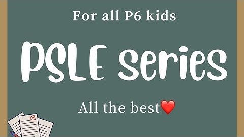 PSLE series: pie chart(standard)