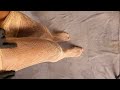 Everything I Styled Last Week 