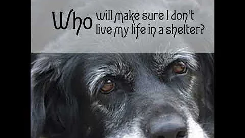 Who will take care of me?
