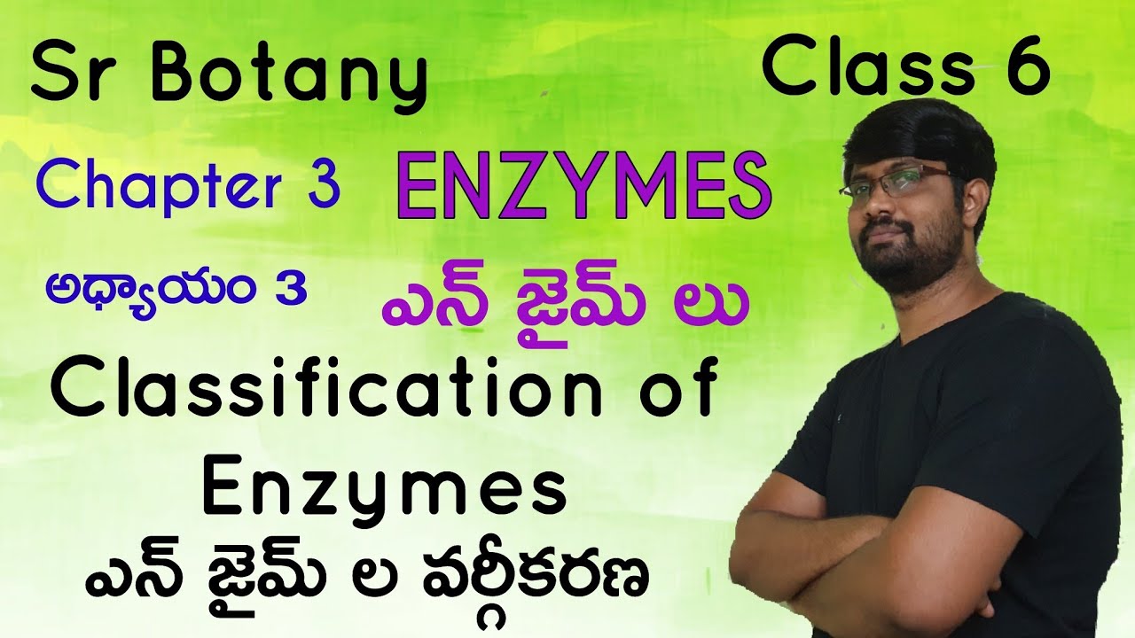 Classification of Enzymes | Sr Botany | Class 6