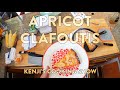 Apricot Clafoutis | Kenji's Cooking Show