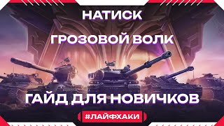 Натиск 2024 Грозовой волк. 2 часть гайд для новичков!