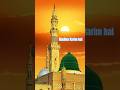 madina Karim hai ❣️ #shorts #shortvideo #shortsviral #youtubeshorts #islamicvideo