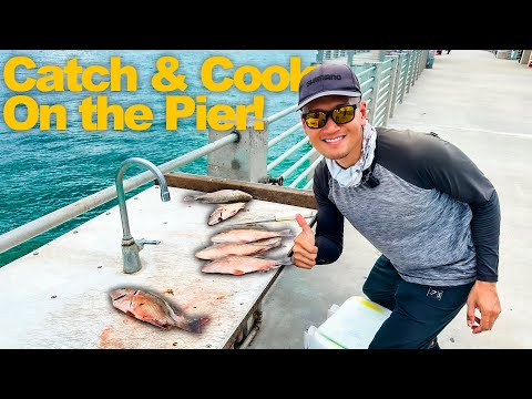 Saltwater Pier Fishing For Snapper (Catch and Cook) - Fishing With New Reels!