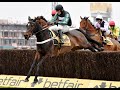 Altior the racehorse with 21 career wins