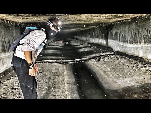 Video: Tunelurile Găsite Sub Alcatraz