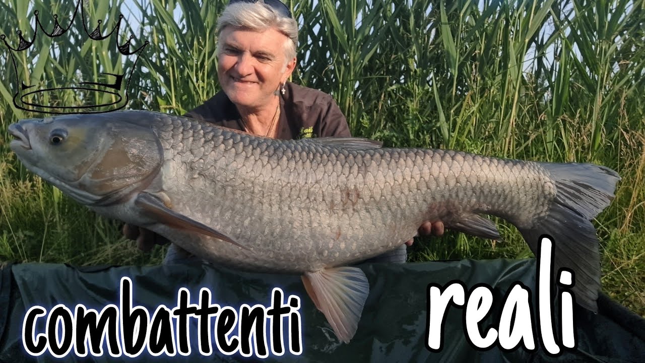 Combattimenti" REALI"