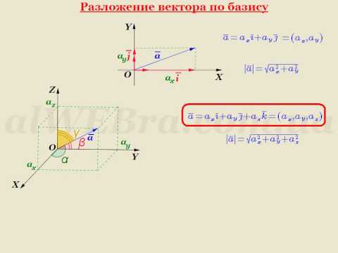 Видеоурок "Разложение вектора по базису"