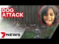 Six-year-old girl Laquarna Chapman Palmer in hospital after vicious dog attack in Woodridge | 7NEWS