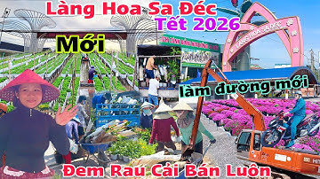 Làng Hoa Sa Đéc Tết 2026 thay đổi quá lạ nhiều cổng đường làm mới nhiều loại hoa độc lạ xuất hiện 