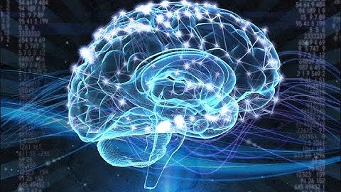 Chapter 2 - Brain & Behaviour Lecture 1/5 (Intro to Nervous System)