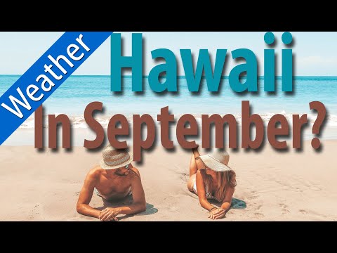 วีดีโอ: ฉันจะได้รับใบอนุญาตในฮาวายเมื่อใด