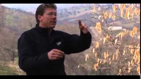 Pitch oscillations Paragliding tips