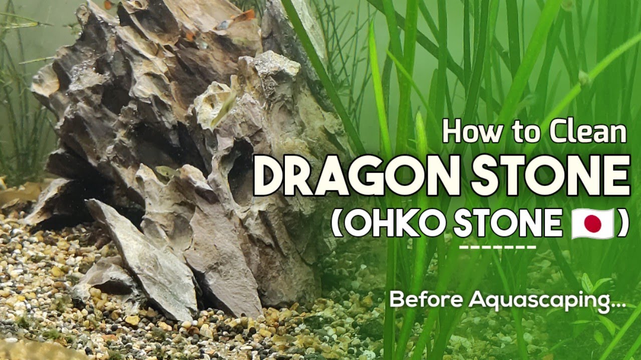 How to clean dragon stone for aquarium DragonStone OhkoStone 