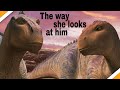 Dinosaur 2000 is the dino movie everyone wanted   review