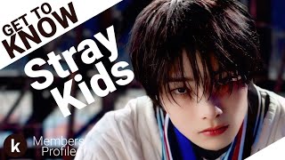 Stray Kids (스트레이 키즈) Members Profile (Birth Names, Positions etc...) [Get To Know K-Pop]