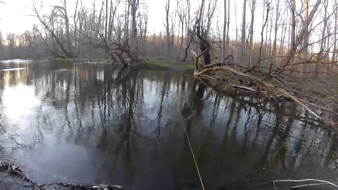 Oatka Creek Hatch Chart