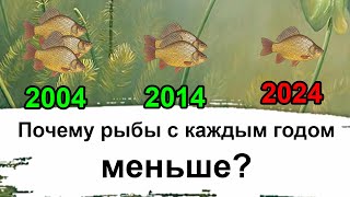 ПОЧЕМУ С КАЖДЫМ ГОДОМ РЫБЫ СТАНОВИТСЯ МЕНЬШЕ? 3 САМЫЕ ГЛАВНЫЕ ПРИЧИНЫ