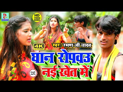 raman-ji-yadav-new-4k-video-song-2020-||-धान-रोपबउ-नई-खेत-में---dhan-ropabau-nai-khet-me,-4k-video