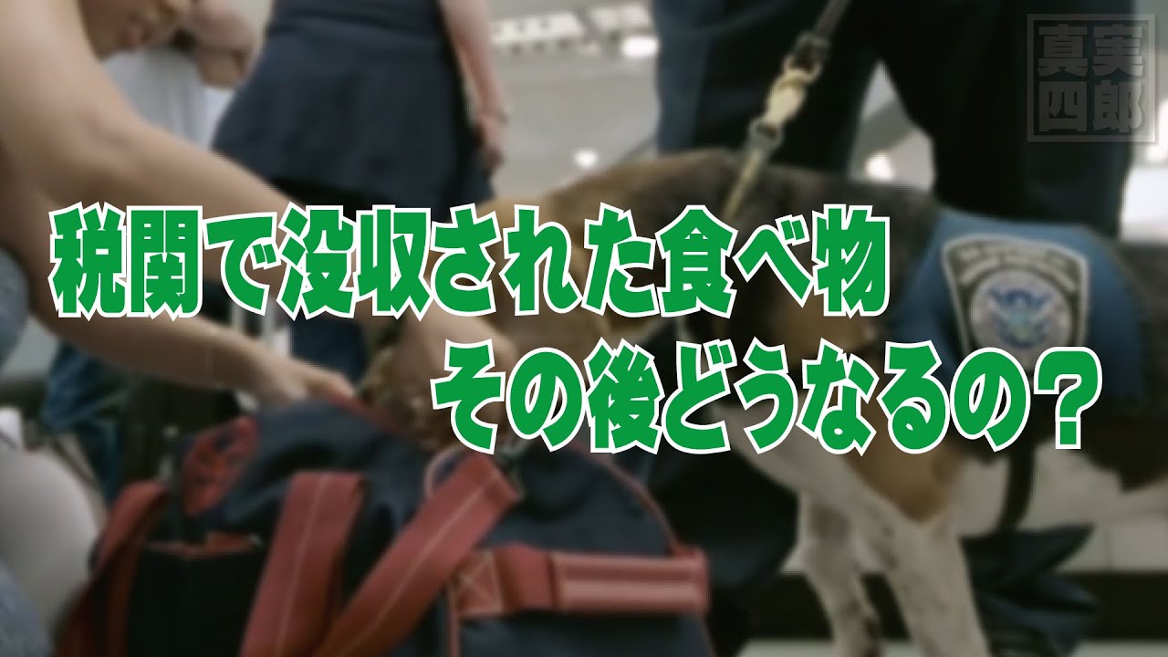 税関 で 没収 されない 方法