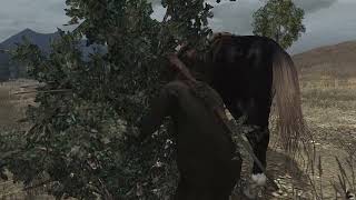 RDR: Survivalist Challenge 9 - where to pick 15 Golden Currants RDR: Survivalist Challenge 9 - where to pick 15 Golden Currants