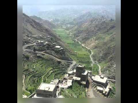 هوى اليمن ناداني