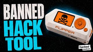 Why Amazon Banned Flipper Zero