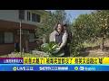 台灣總統賴清德的公開行動