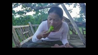 Ep78, Female Outdoor Camping Alone In The Forest, Girl Off Grid Living Survival, Solo Camping Life