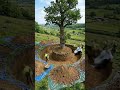 Ai video part 1 artificialintelligence #ai #machinelearning #aiart #digitalart #technology