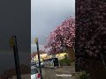 England ka first rainbow #internationalstudents #youtubeshorts #shortvideo #shorts #minivlog #mini