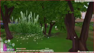 Training| Warrior Cats Sims 4| Sunlit Echo 44 pt.2