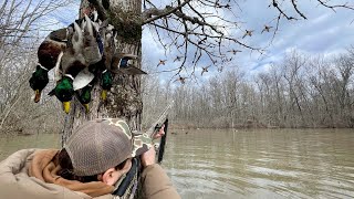 Public Land Duck Hunting Arkansas Flooded Timber!
