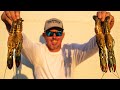 GIANT 11 INCH CRAWFISH Catch Clean & Cook