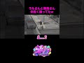 【 #ストグラ 】おちゃめなラルさんとなしまさん♬【 #淀川てるみ #麻林ラル #なしまかな 】