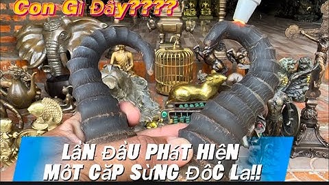 Sừng độc lạ _ Đầu Voi Bằng Đồng _ Đầu Sư Tử Bằng Đồng. Tối 24/4 #đồcổcầnthơ #đồcổ