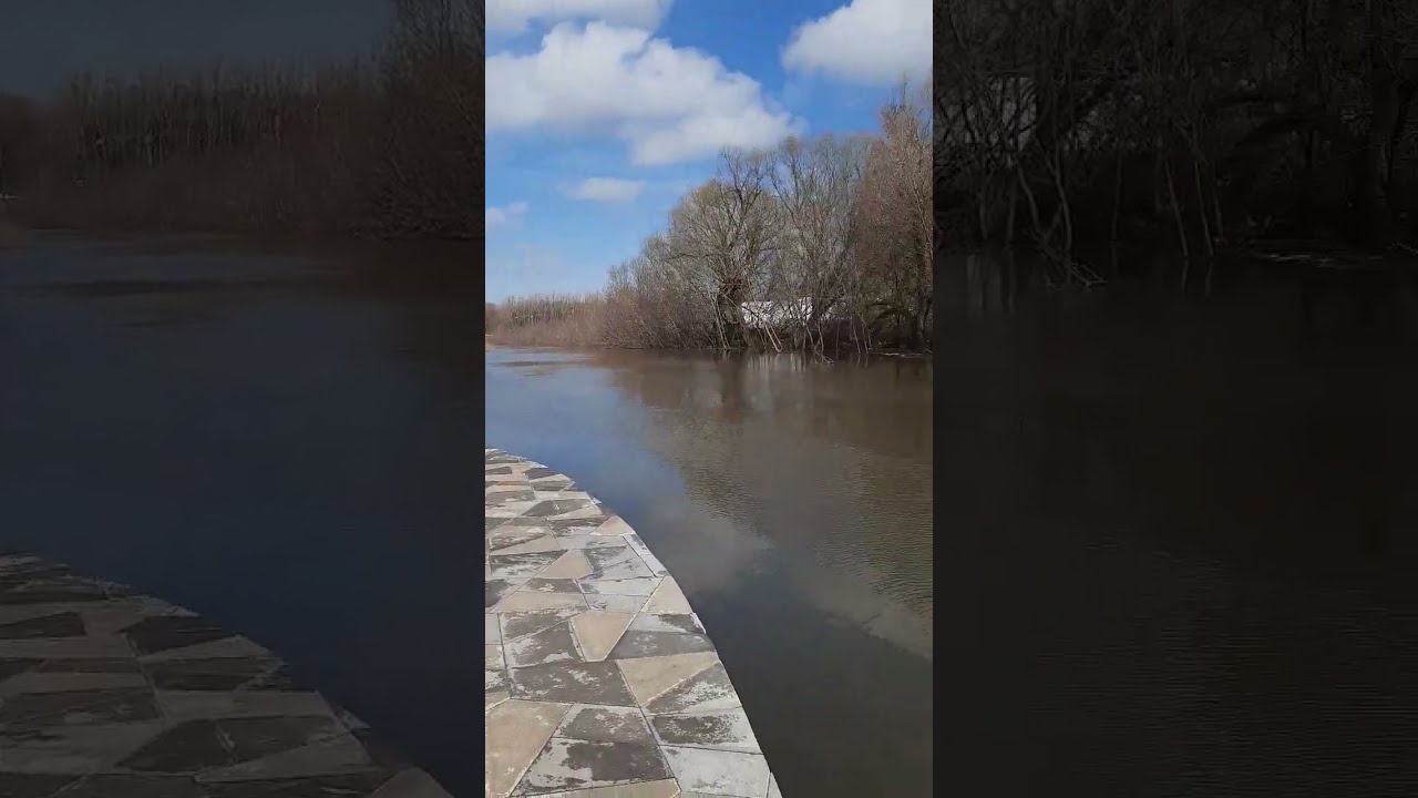 Метропарк Рязань Фото