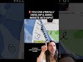 🚨 YOU CAN LITERALLY GRAB, RIP & SHRED WEBSITE WITH INPUT
