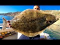 Catalina island fishing halibut catch clean and cook