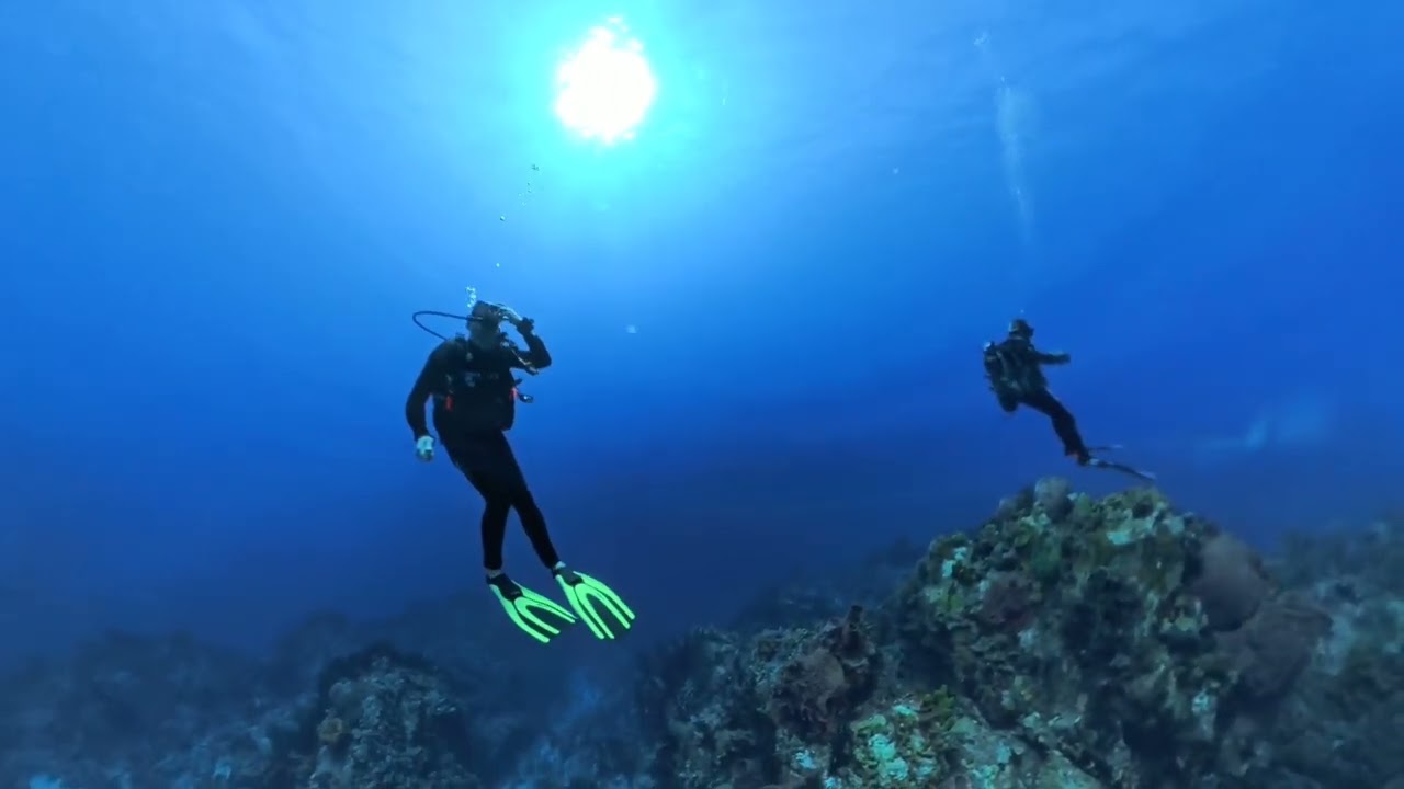 Plongée au Sec Pâté Guadeloupe Insta360