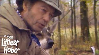 Runaway The Littlest Hobo Season 2 Episode 15