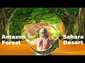 How the Sahara Keeps the Amazon Green