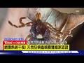 【CNN精選】心疼兒子被蟲咬重病! 加拿大超強老媽研發新防蟲噴霧｜TVBS新聞 @TVBSNEWS01