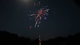 FIREANT STING - Skyhigh fireworks