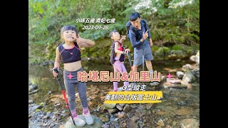 【台灣富士山加里山】一日哈加縱走丨哈勘尼山&最美小百岳加里山丨鹿場登山口丨最刺激有趣的冒險旅程丨苗栗南庄風美溪丨夢幻森林步道丨五歲七歲小孩爬山趣