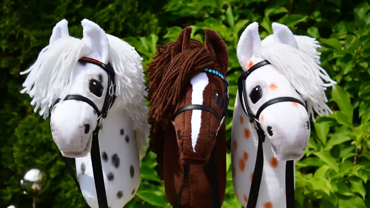 hobby-horsing-deutschland-youtube