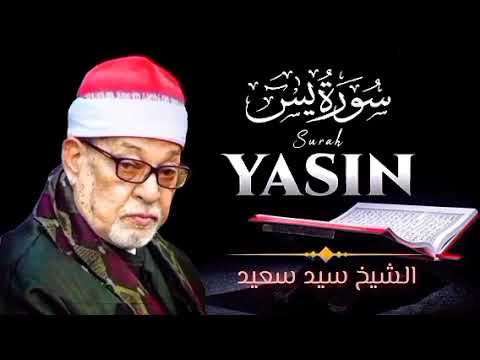 سورة يس الشيخ سيد سعيد تلاوة خاشعة قرآن كريم للشفاء والبركة وللاستماع والتدبر