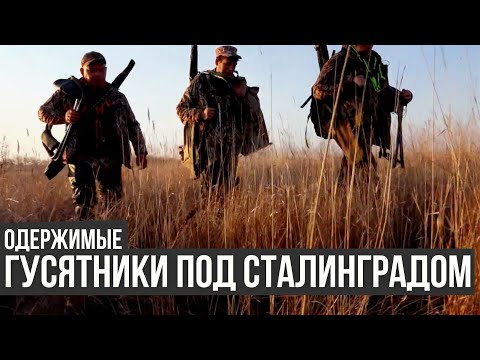 Гусятники под Сталинградом / Одержимые / #13